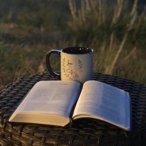 Meet your Posher, Jane